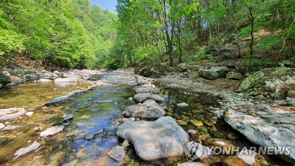 가평 연인산 계곡길, 산림청 선정 '걷기 좋은 명품숲길' 으뜸