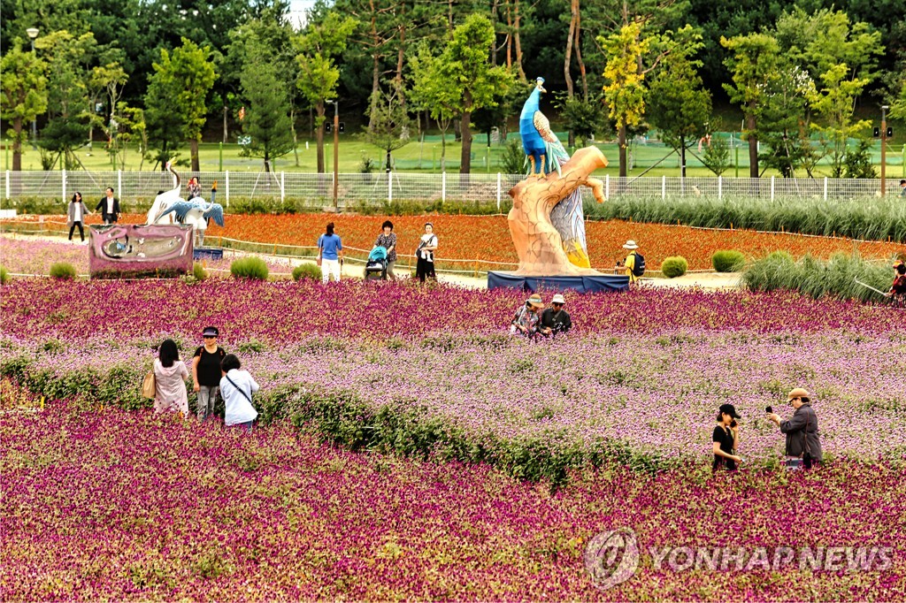 양주시, 내달 개최 천일홍 축제 때 '버스킹 공연'