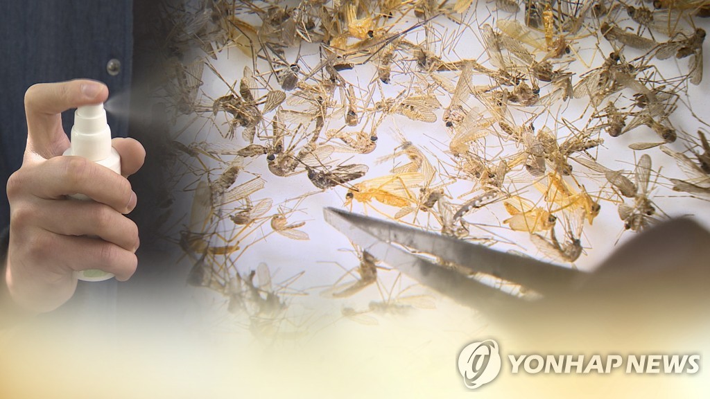 해외유입 모기매개감염병 전년 3배…"입국시 신속진단검사 권고"