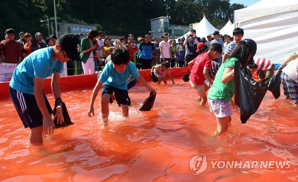 [르포] "시식회 쓰일 생선도 방사능 검사" 전어축제 앞둔 어민 '비상'