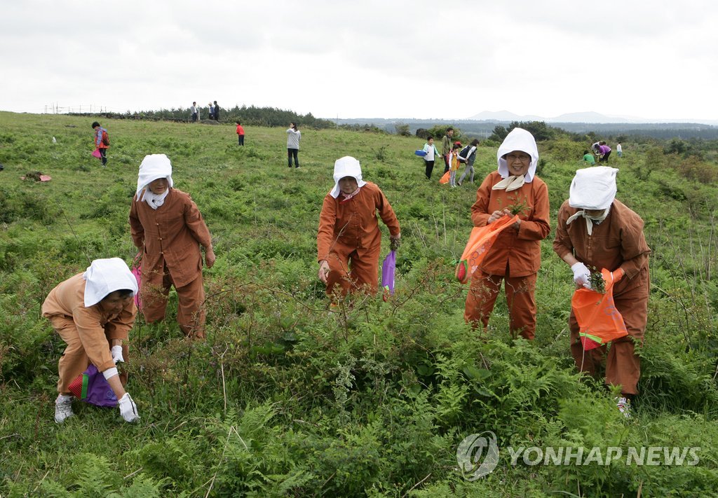 [다시! 제주문화] (65)"자연·사람이 만들어낸 걸작" 제주 전통의복 갈옷