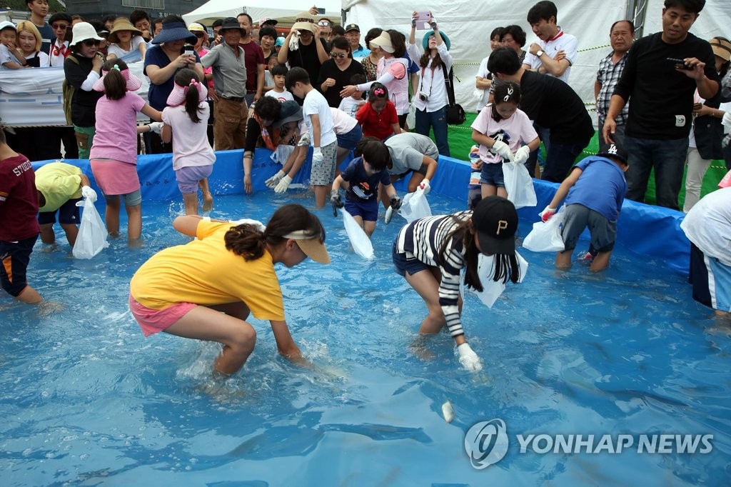 "전어·우럭축제 코앞인데" 오염수 방류 임박에 수산업계 뒤숭숭