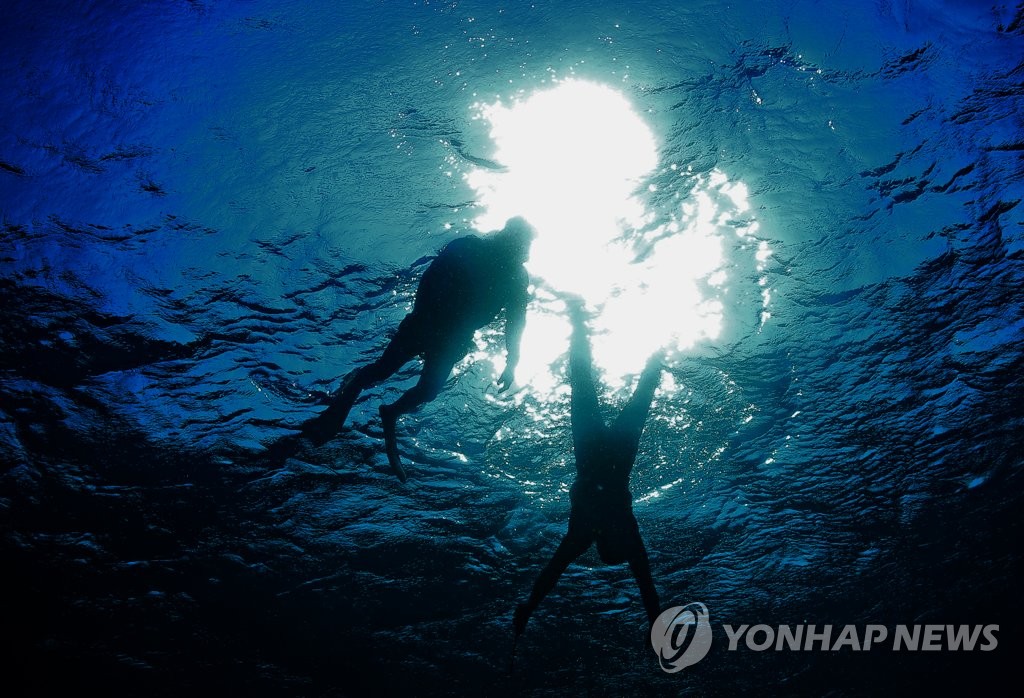 "전국의 해녀 뭉친다"…제주도, 한반도 해녀포럼 발족 추진