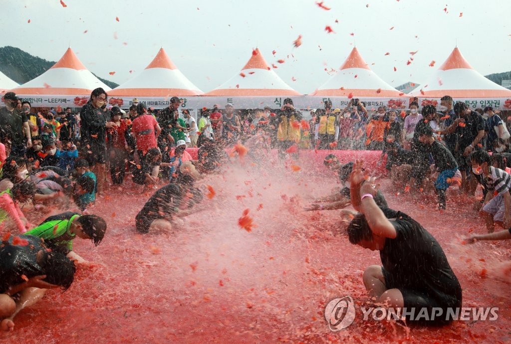 횡성 둔내고랭지토마토축제 12∼14일 개최…풀장 이용권 예매