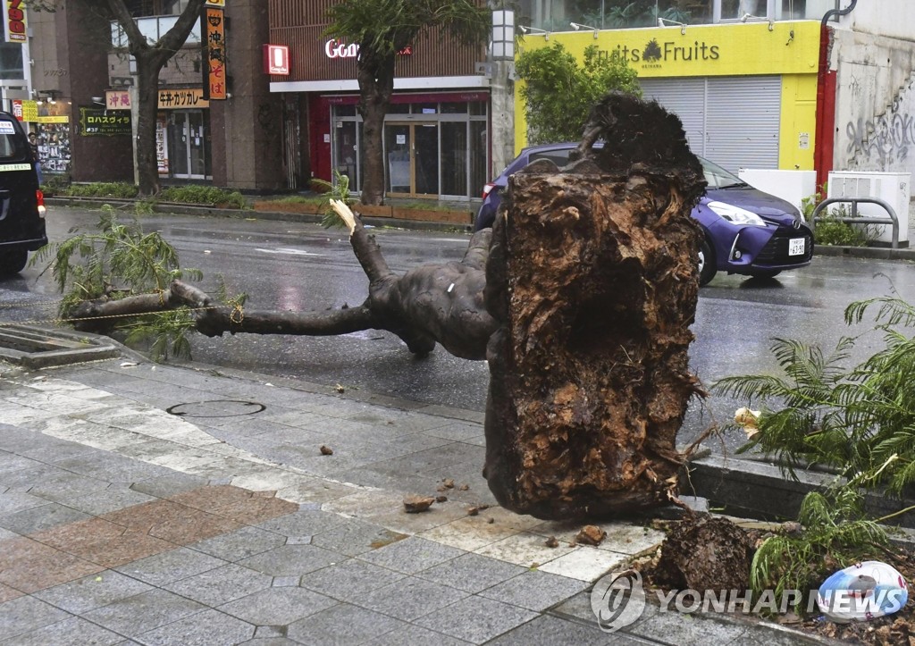 카지노 사이트 일본 관통할 듯…동해까지 '태풍'으로 북상할 수도