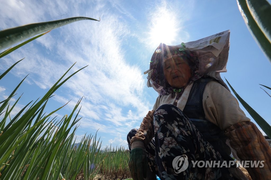 오늘도 찜통 '낮 최고 38도'…오후 곳곳 메이저카지노사이트