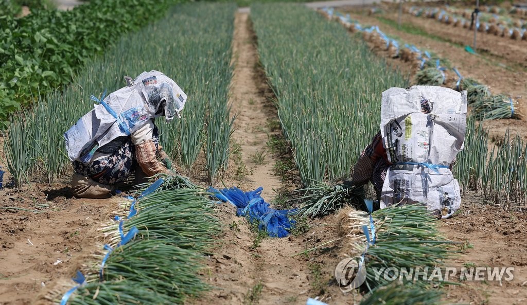 온열질환 사망 72%가 70대 이상…"노인 일자리 실외활동 중단"