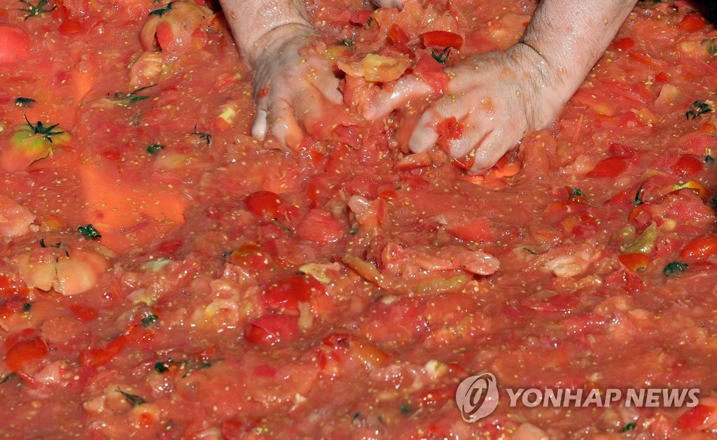 화천토마토축제 주말 열기 절정…황금반지 이벤트 인기