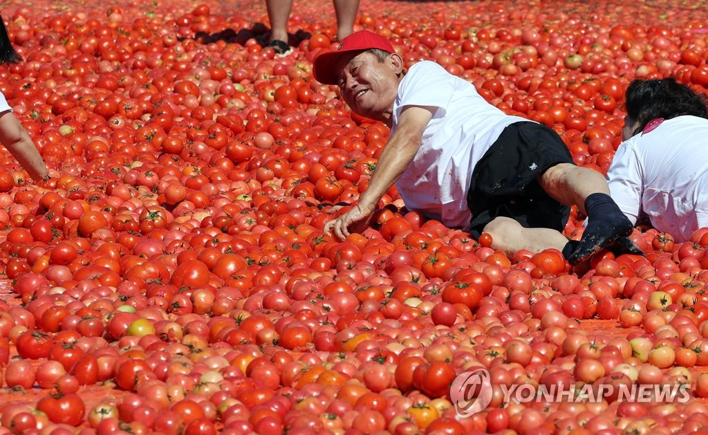 화천토마토축제 폐막…축제 성공 이끈 폭염 대응 '호평'