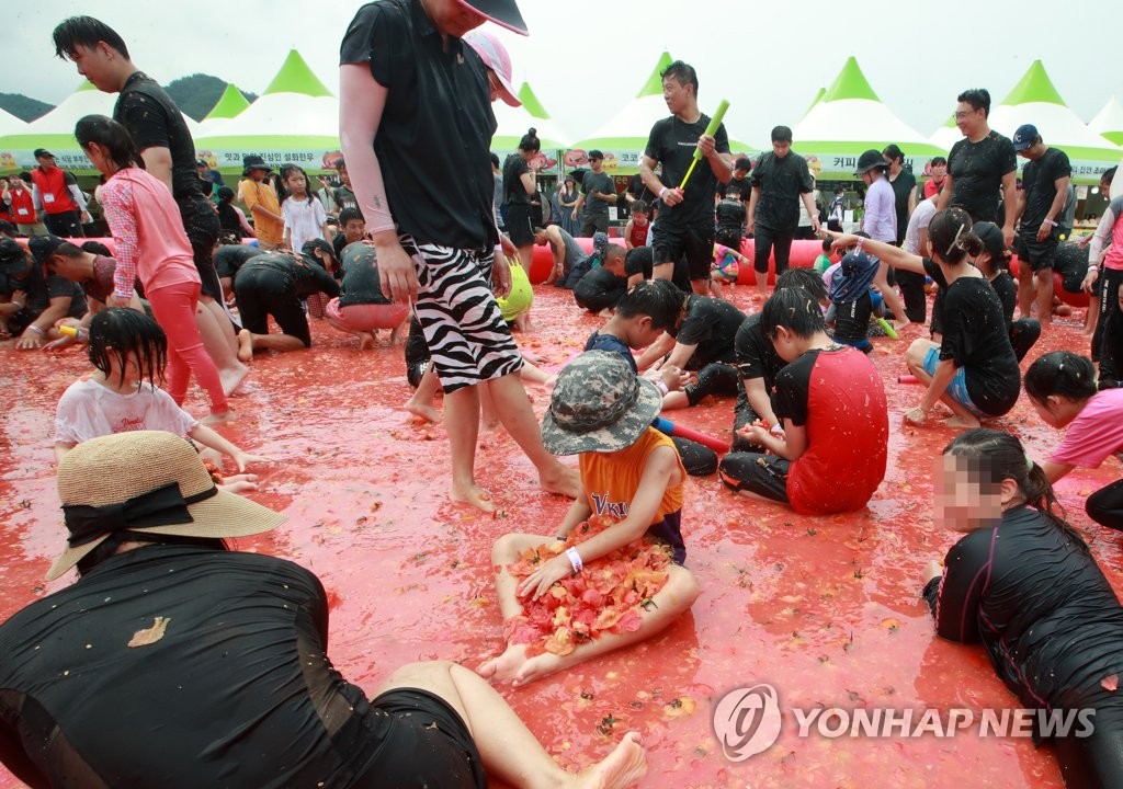 둔내고랭지토마토축제 성황리에 폐막…"경제적 파급효과 12억원"