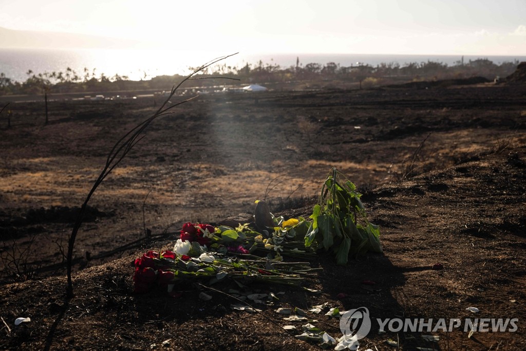 고양시, 산불 참사 '자매도시' 하와이에 구호 성금 전달