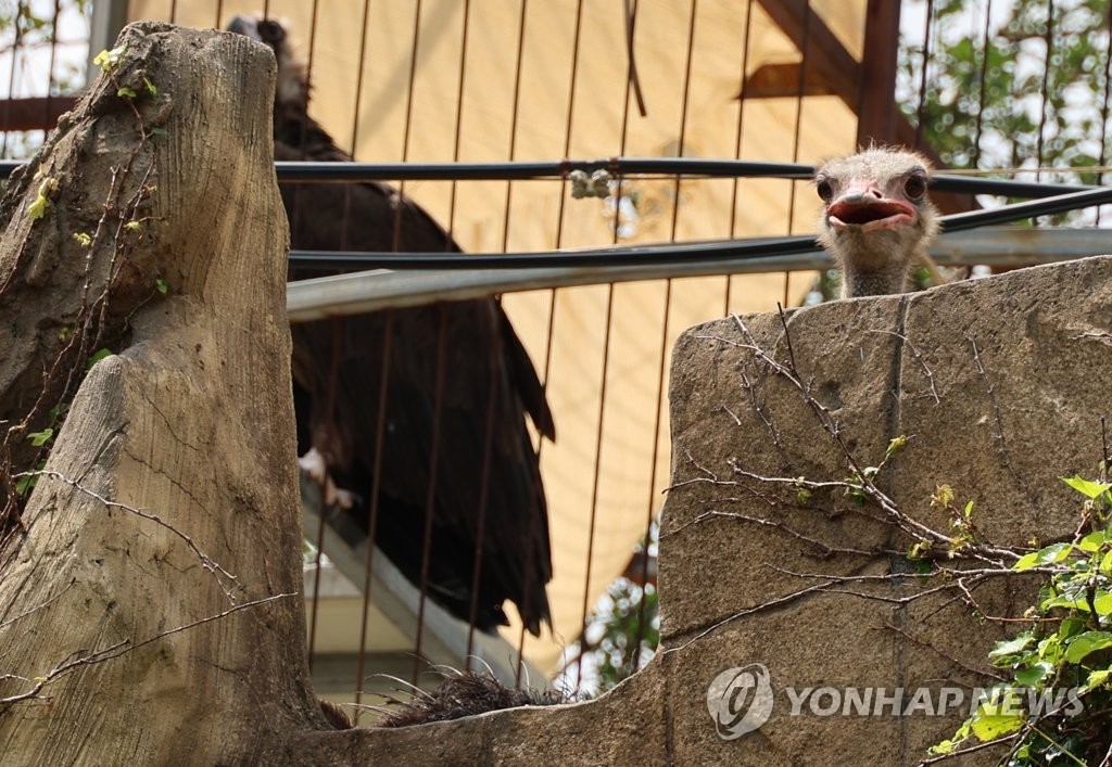 운영중단 동물원에 시민들 과일·채소·냉동닭 들고 나섰다