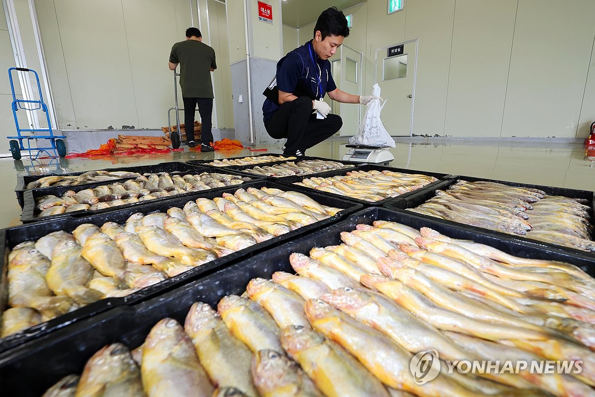 [르포] 생선 시료, 방사능 검사기 넣어보니 '이상 없음'