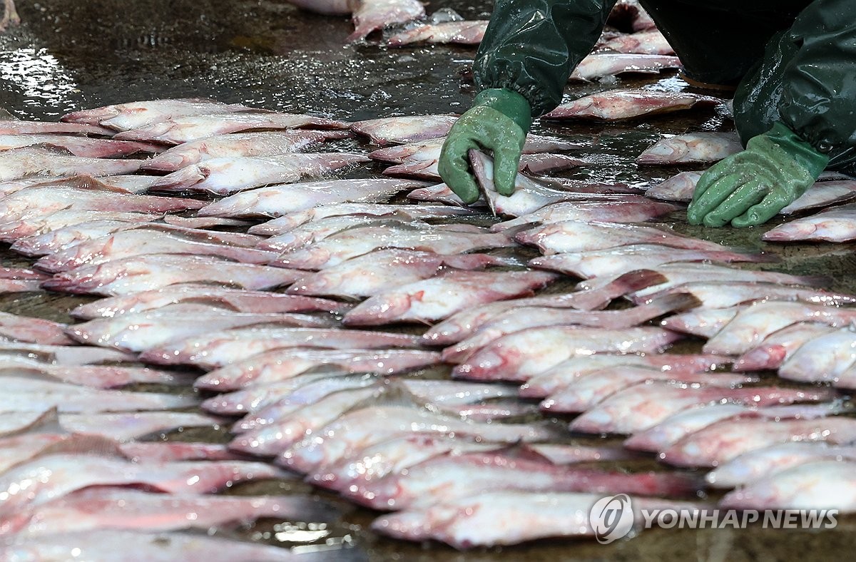 춘천시, 일본 오염수 방류에 유통 수산물 주 1회 검사