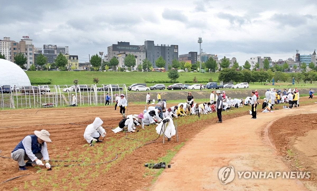 충남도 대백제전 점검TF 가동…교통·안전 등 매일 점검