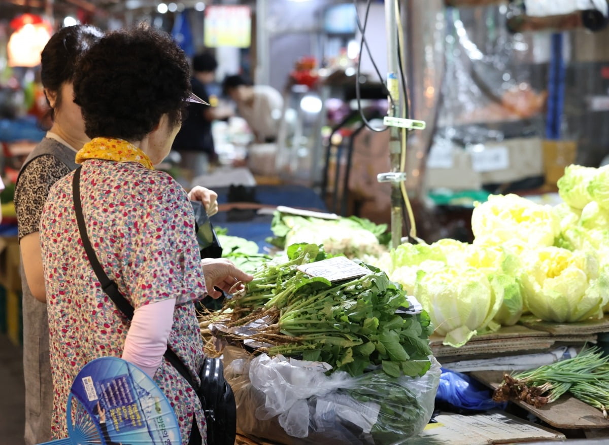 서울 경동시장에 시민들이 채소를 둘러보고 있다. 사진=연합뉴스