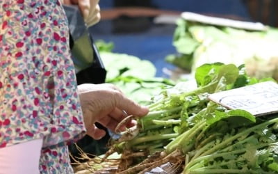 '상추 리필 금지'…"오죽하면 이러겠냐" 고깃집 사장님 '한숨'