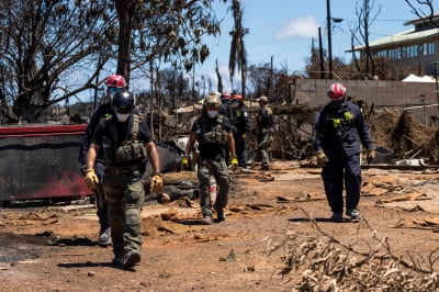 산불 피해 하와이 당국, 전기회사에 소송…"끊어진 전선이 주범"