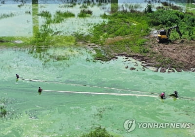 [르포] 한증막 폭염에 수온 껑충…한강 최상류 소양호 사상 첫 녹조