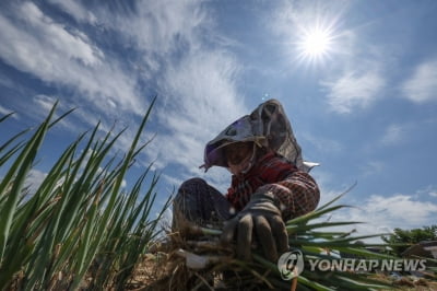 질병청 "'온열질환'으로 응급실行 89명 늘어…누적 1천385명"(종합)