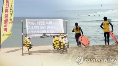주말 전국 해변·계곡·수영장서 잇따라 사고…7명 숨져