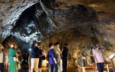폭염에 평창 광천선굴 피서 관광지로 떴다…하루 최다 방문 기록