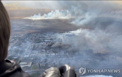 마우이섬 생존자의 증언 "무조건 바다에 뛰어들어야 했다"