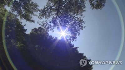 기록적인 무더위에 '야외 활동' 업종 매출 줄었다