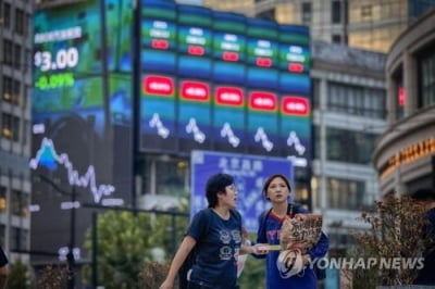 '中 금리인하폭 실망' 범중국 주가 1%대 하락…위안화도 약세(종합)