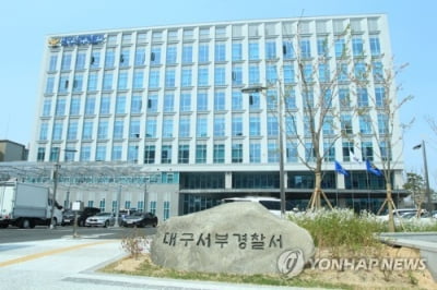 대구 주택가 골목서 20분간 나체로 다닌 50대 붙잡혀