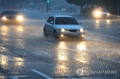 한라산 최고 152㎜ 비 내려…한라산 탐방로 통제