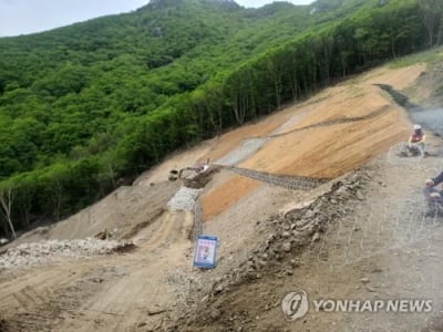 산림청, 전남·영남권 제외 전국 산사태 위기경보 '관심'