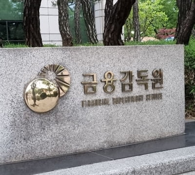 금감원 "불법리딩방 수사의뢰…연말까지 점검강화"