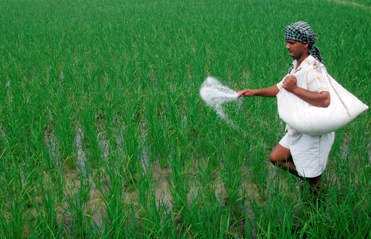 122년 만에 최저치 찍은 인도 강수량…"추가 곡물 수출규제 우려"