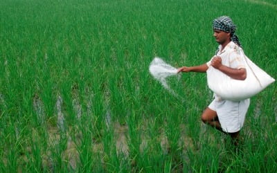 122년 만에 최저치 찍은 인도 강수량…"추가 곡물 수출규제 우려"