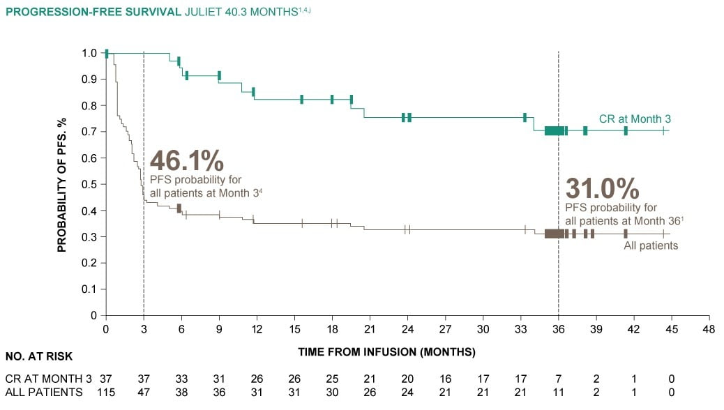 (그림설명) 전체 환자들의 무진행생존기간(PFS·갈색선)과 치료후 3개월째 완전관해(CR)였던 환자들의 PFS 그래프(녹색선). 전체 환자 대비 CR이었던 환자들의 예후가 상대적으로 우수한 것을 알 수 있다. 노바티스 제공