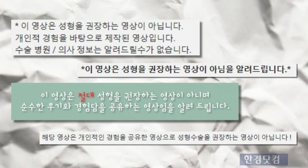 성형수술 권장 영상이 아님을 명시한 유튜버들의 영상 속 문구. /사진=유튜브 캡처