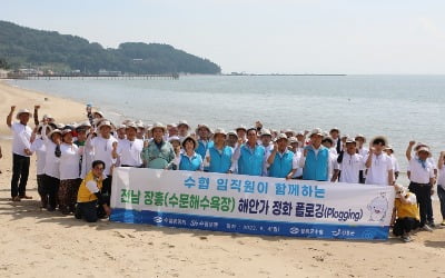 수협은행·수협중앙회, 전남 장흥서 환경정화 플로깅
