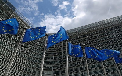 EU '빅테크 규제법' 삼성전자는 빠졌다