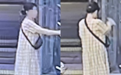 "30만원짜리 티켓 도둑맞았다"…CCTV 봤더니 '깜짝'