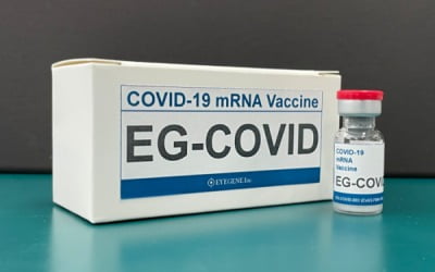 아이진 "mRNA 코로나19 백신 임상 1상서 안전성 확인"