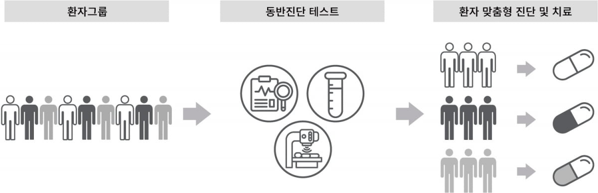 디엑스앤브이엑스, 통합형 동반진단 개발 서비스 출시