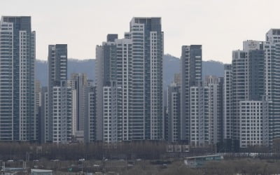 '국평' 43억 찍은 '아리팍'…부동산 불경기 무색한 반포 아파트