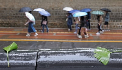 [포토] 가을비 내리는 덕수궁 돌담길