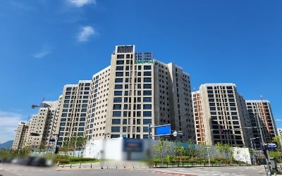 "8억은 선 넘었다"…김포 부동산 시장 발칵 뒤집은 아파트