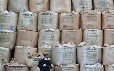 개도국 식량부족 해소…아세안 쌀 지원량 두 배로 늘린 정부