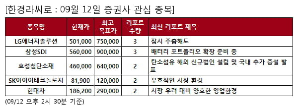 LG에너지솔루션,삼성SDI,효성첨단소재,SK아이이테크놀로지,현대차,한화솔루션,롯데에너지머티리얼즈,포스코퓨처엠,에코프로비엠