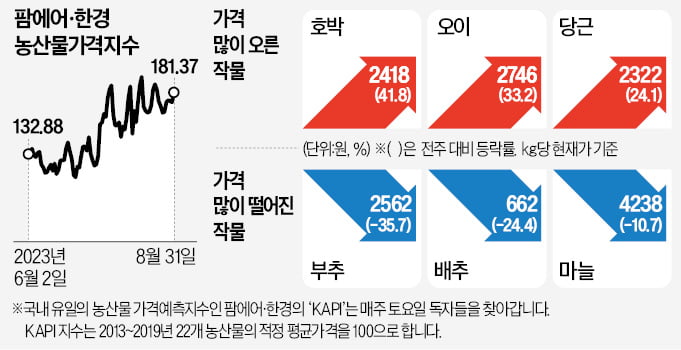 호박·오이값 '고공행진'…흐린 날씨에 출하량 뚝