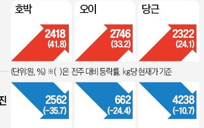 호박·오이값 '고공행진'…흐린 날씨에 출하량 뚝