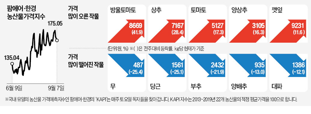 바카라 토토 사이트 D-20…사과·배값 뛰자 샤인머스캣 떴다